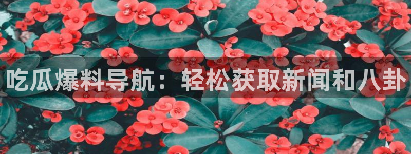 吃瓜下载