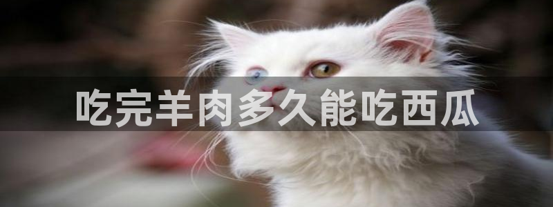 51cgfun吃瓜今日吃瓜必吃：吃完羊肉多久能吃西瓜
