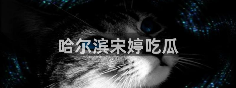 51国产吃瓜在线今日吃瓜:哈尔滨宋婷吃瓜