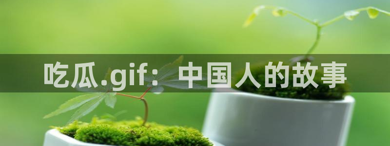 51吃瓜最新吃瓜入口:吃瓜.gif:中国人的故事