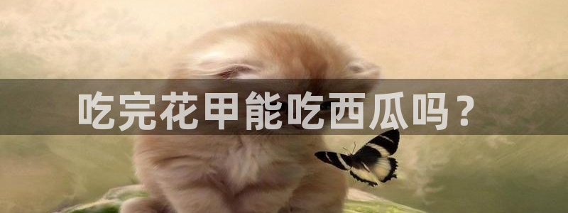 nanataipei今日吃瓜：吃完花甲能吃西瓜吗？