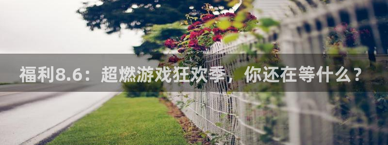 豆瓣自由吃瓜基地：福利8.6：超燃游戏狂欢季，你还在等什么？