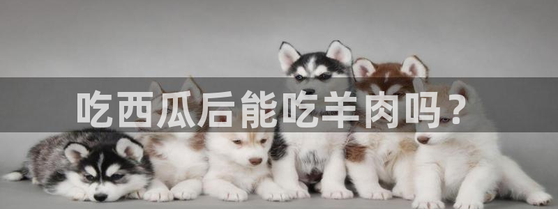 黑料,：吃西瓜后能吃羊肉吗？