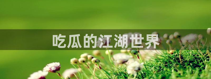 各种网红爆料吃瓜:吃瓜的江湖世界
