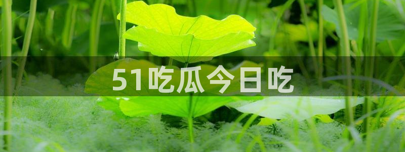 51吃瓜张津瑜