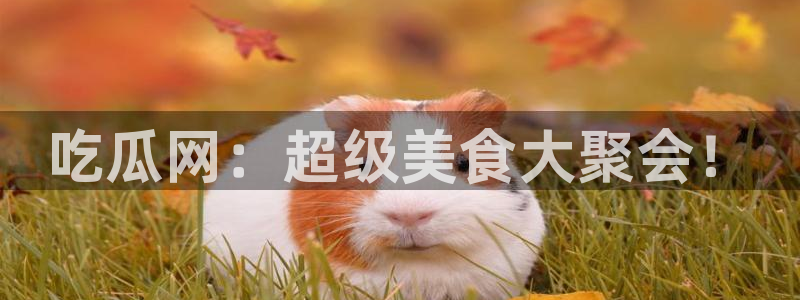 51今日吃瓜热门大瓜入口：吃瓜网：超级美食大聚会！