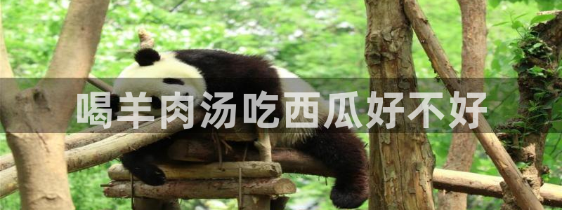 51吃瓜网张津瑜：喝羊肉汤吃西瓜好不好