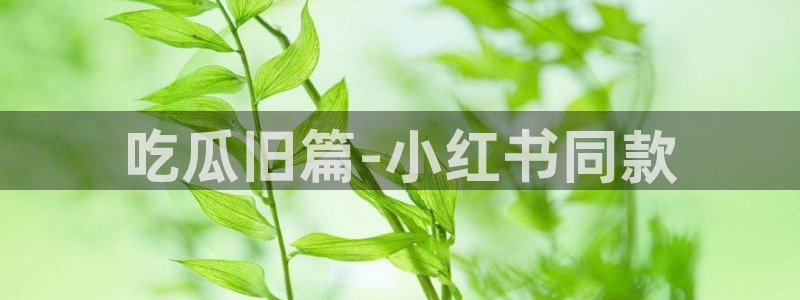 51cg每日吃瓜