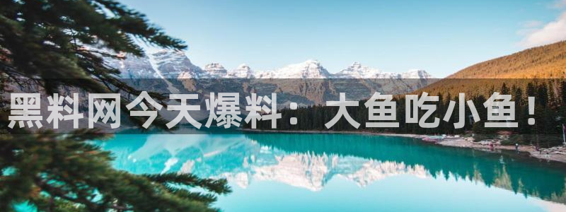 51cgfun吃瓜网 必看大瓜