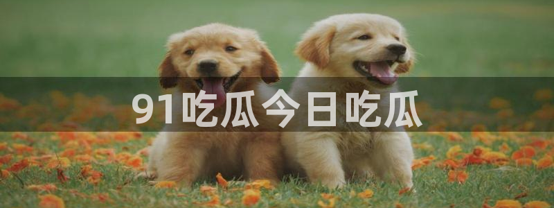吃瓜去哪个网：91吃瓜今日吃瓜