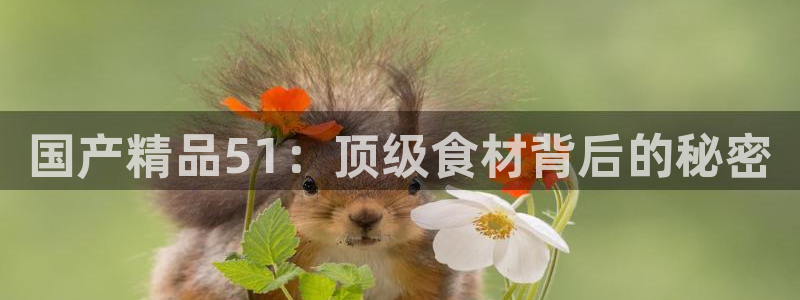 黑料黑料：国产精品51：顶级食材背后的秘密