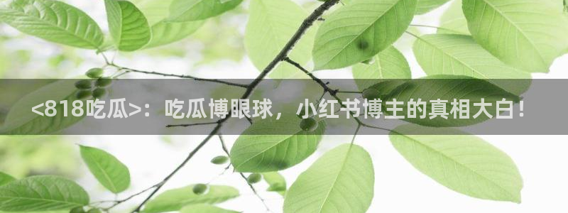 51吃瓜网更新最快最全的：<818吃瓜>：吃瓜博眼球，小红书博主的真相大白！