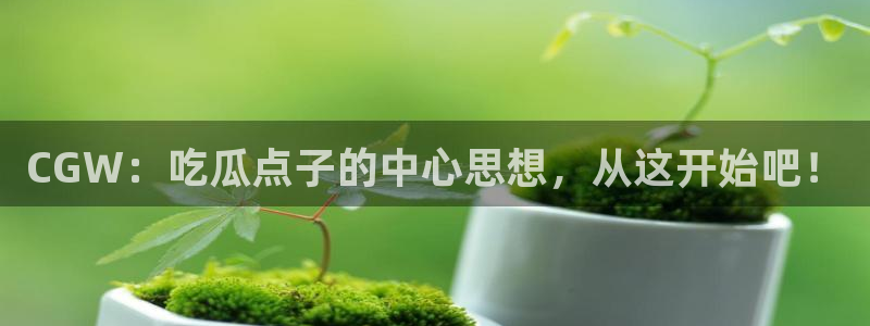 吃瓜电影