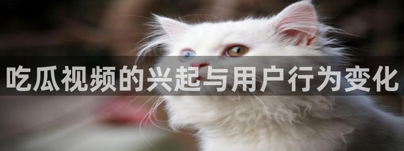 吃瓜