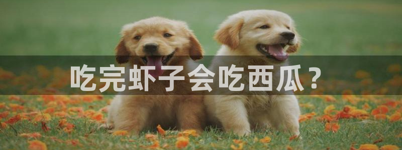 51cgfun吃瓜今日吃瓜必吃