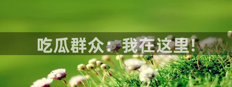 网站吃瓜