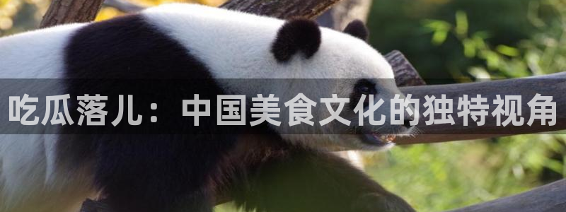 51吃瓜全网更新最快的吃瓜网：吃瓜落儿：中国美食文化的独特视角