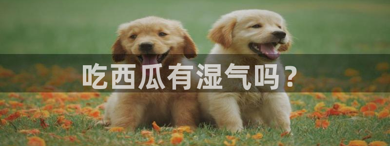 51吃瓜.world张津瑜