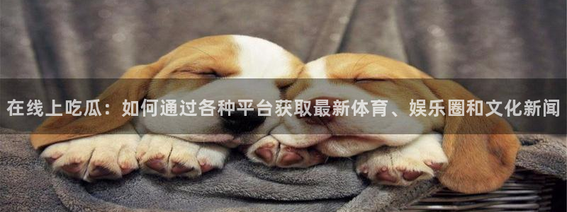 吃瓜：在线上吃瓜：如何通过各种平台获取最新体育、娱乐圈和文化新闻