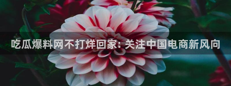 51.cgfun吃瓜：吃瓜爆料网不打烊回家: 关注中国电商新风向