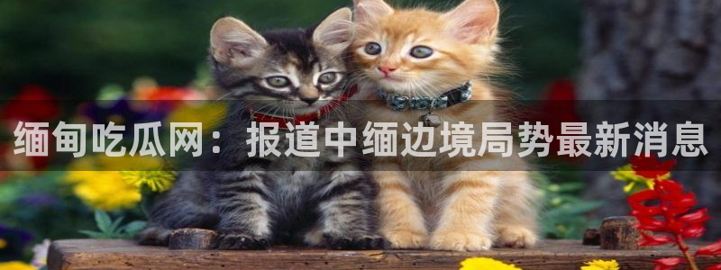 吃瓜网 今日吃瓜 热门大瓜：缅甸吃瓜网：报道中缅边境局势最新消息