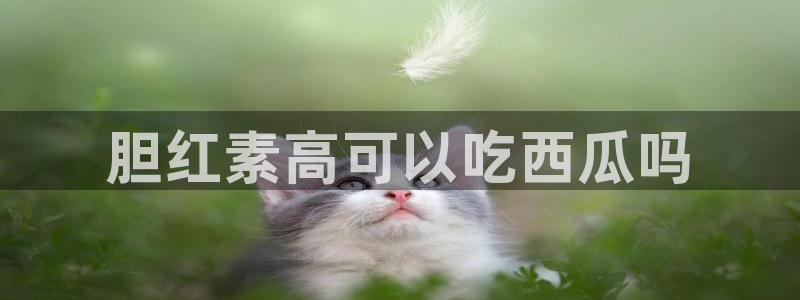51吃瓜今日吃瓜入口最新:胆红素高可以吃西瓜吗