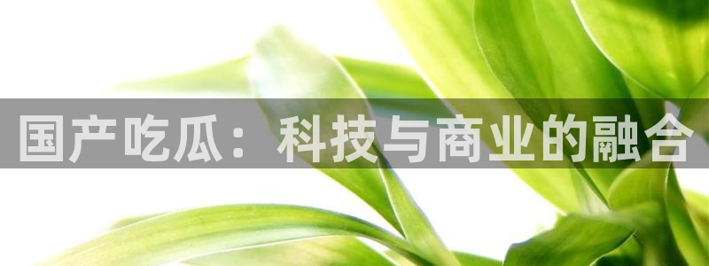 51吃瓜nanataipei：国产吃瓜：科技与商业的融合