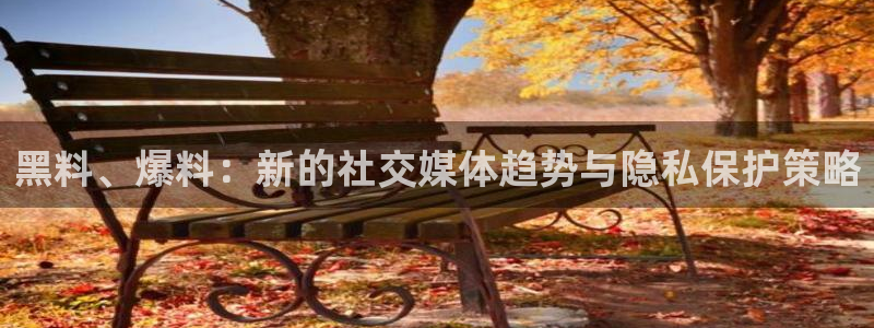 51吃瓜今日吃瓜热门吃瓜：黑料、爆料：新的社交媒体趋势与隐私保护策略