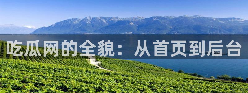 黑料免费：吃瓜网的全貌：从首页到后台