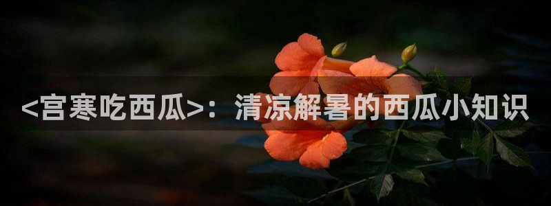 51cg吃瓜网每日吃瓜：<宫寒吃西瓜>：清凉解暑的西瓜小知识