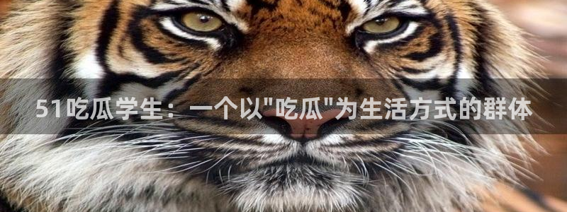国产精品韩日中出吃瓜