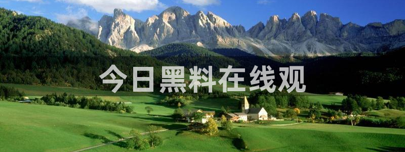 吃瓜最新:今日黑料在线观