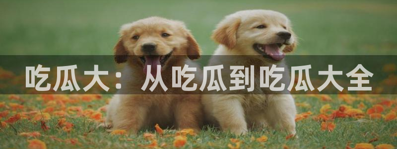 51吃瓜全网最快的吃瓜网站：吃瓜大：从吃瓜到吃瓜大全