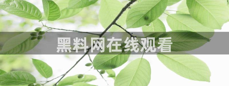 贝贝瓜可以炒着吃吗：黑料网在线观看
